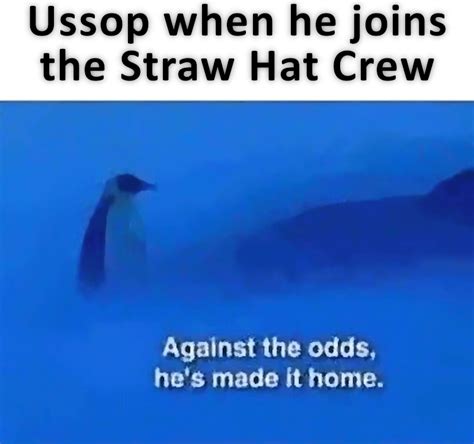 against all odds he made it home|Against the Odds, He's Made it Home .